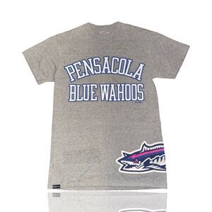 Pensacola Blue Wahoos Men's Gray Graphic T-Shirt Size S: Vintage Jansport tee
